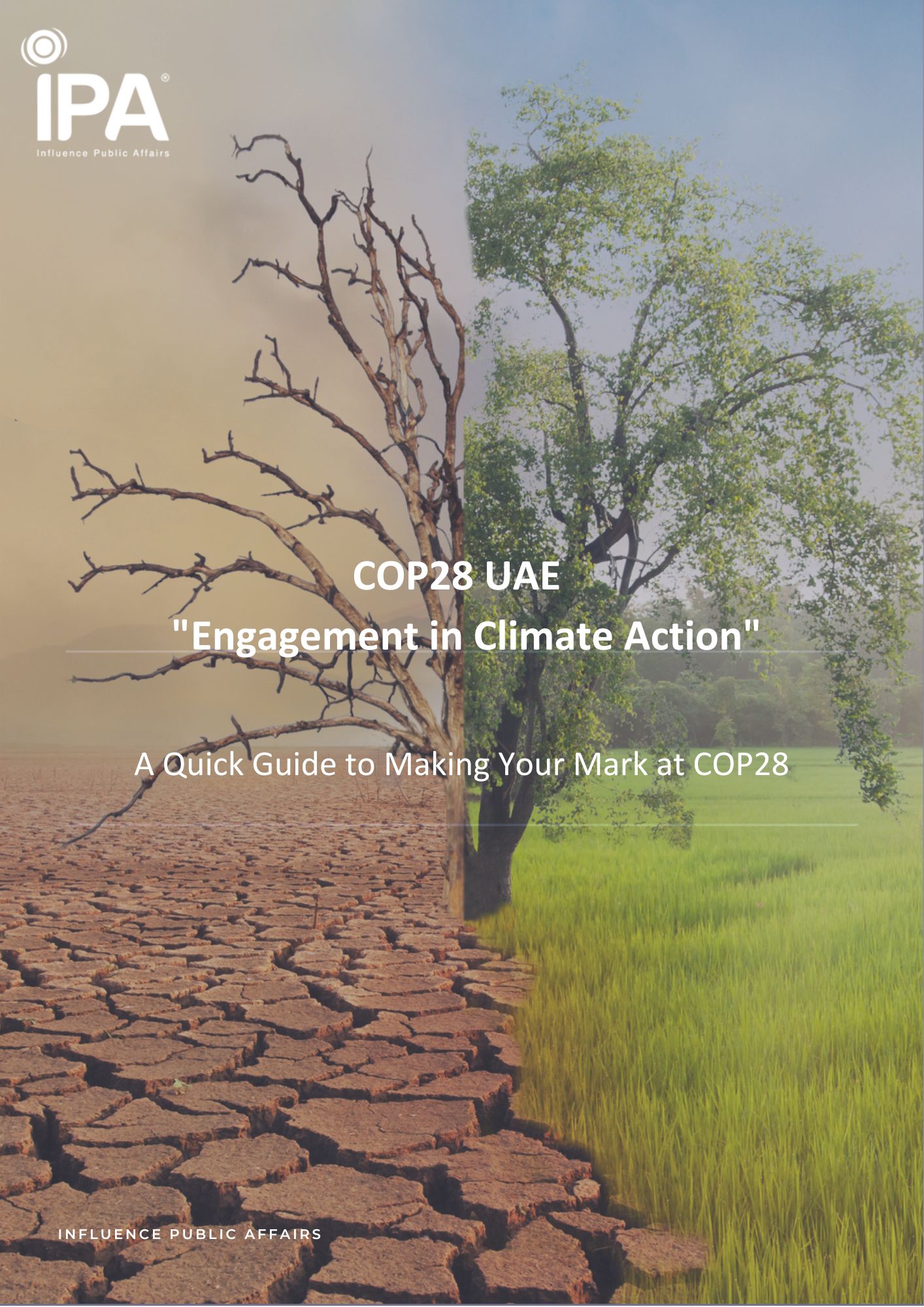 COP28 UAE - 